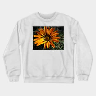 Gazania 11 Crewneck Sweatshirt